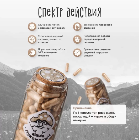 "МУХОМОРЫЧ" Ежовик гребенчатый (90 капс)