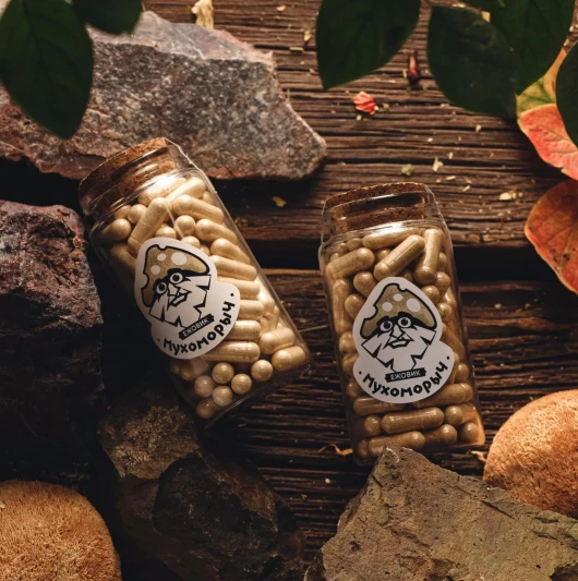 "МУХОМОРЫЧ" Ежовик гребенчатый (90 капс)