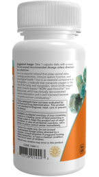 NOW IRON FERROCHEL® 36 мг (90 вег.капс)