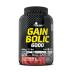 OLIMP Gain Bolic 6000 (3500 гр)