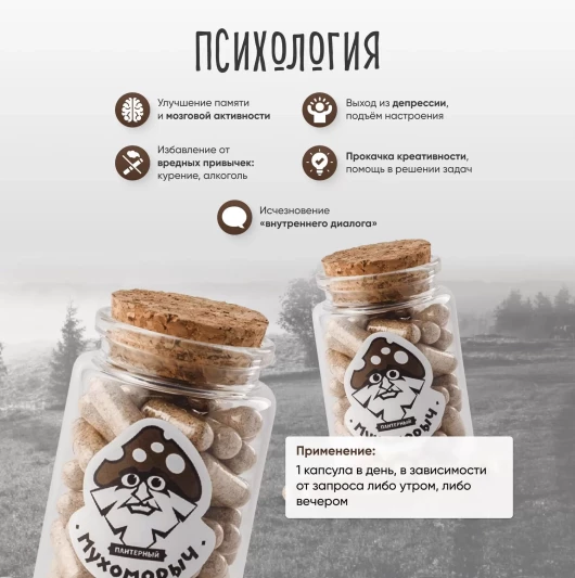 "МУХОМОРЫЧ" Пантерный мухомор (31 капс)