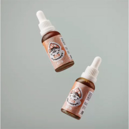 "МУХОМОРЫЧ" Экстракт ежовика (30 мл)