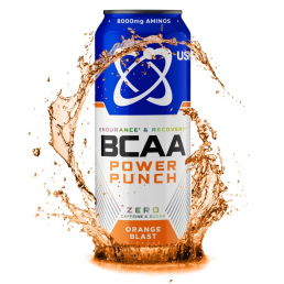 USN BCAA POWER PUNCH (500 мл)