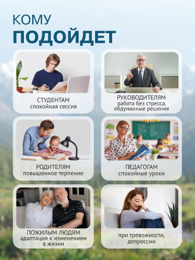 ВОЛШЕБНЫЙ ЛЕС Спокойствие и равновесие (250 мл)